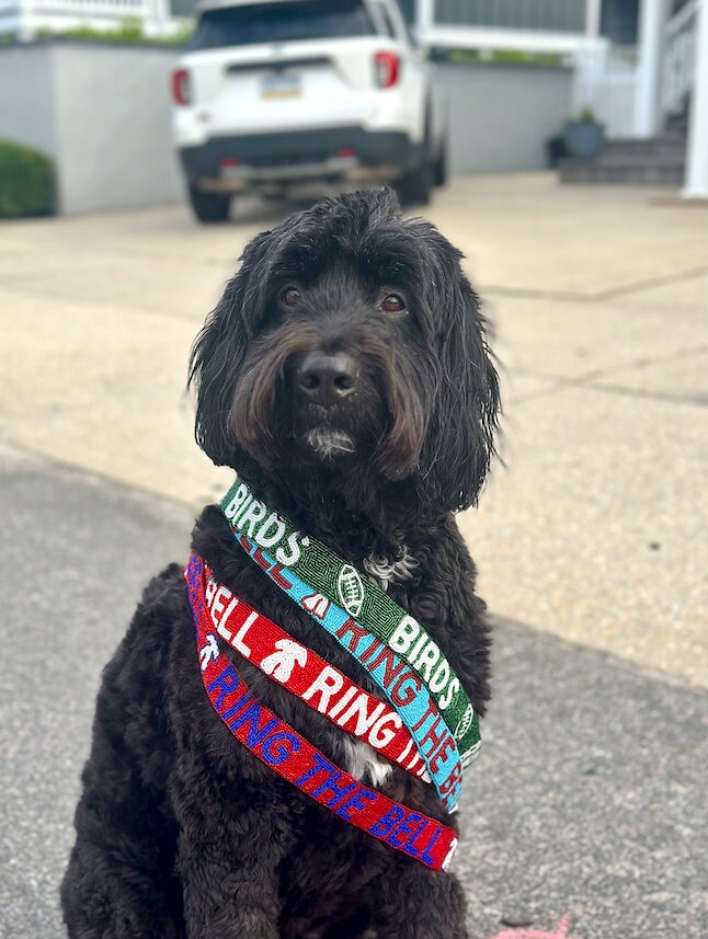 Ring the Bell Beaded Strap | Red & White